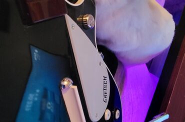 Oh ya it time to rock