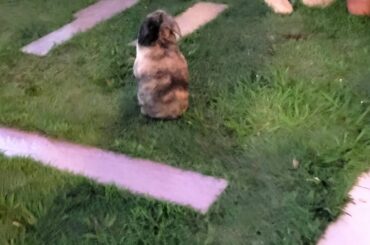 what's she looking at?