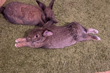 I got two weirdos in my house