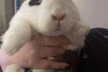 What funny stuff do you say about your buns?