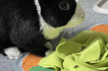 Why does he look so concerned?
