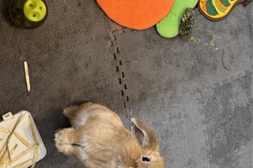 Please give me some suggestions and opinions.