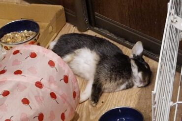 Out cold 😪