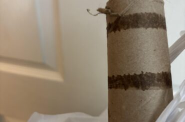 Question about cardboard.