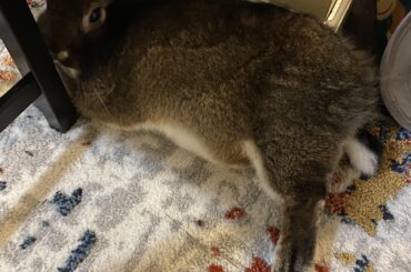 Crusher is a strange creature