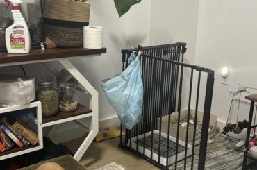 Desperately need advice on fixed boy’s litter issues