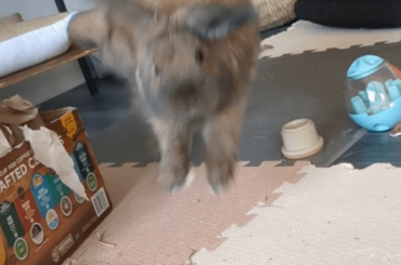 So fast