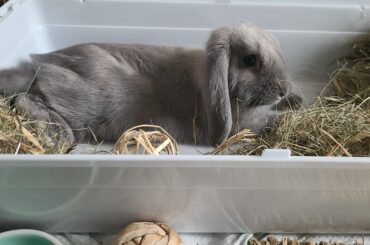 Hi! I'm Simon. Let's be friends!
