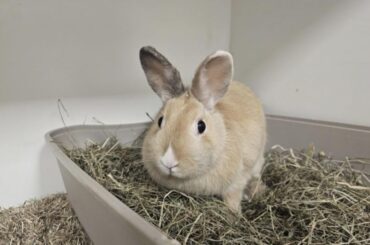 Name ideas!