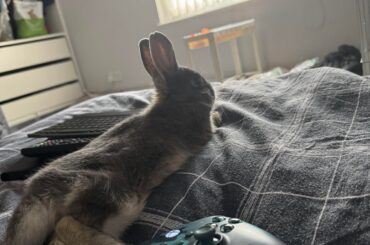 Is he comfortable?