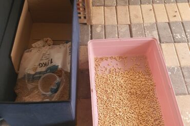 What are you guys using for bedding?