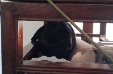 Sir, this is my desk... not a Wendy's