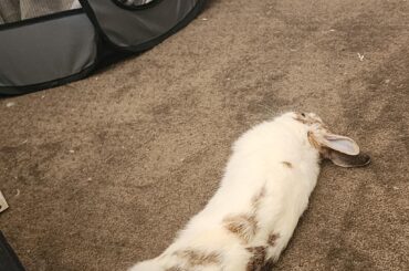 Out like a light lmao