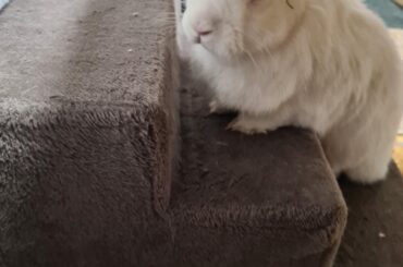 Why she's looking at me like that 😭