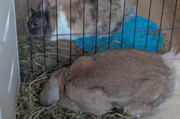 Can they be friends?