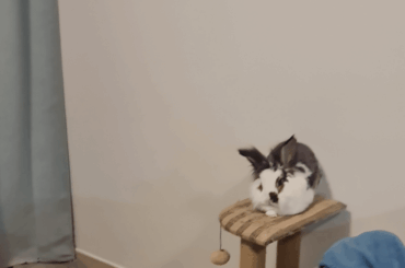 Watch tower hijacked