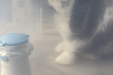 My little Charlie.