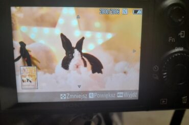 Photoshoot