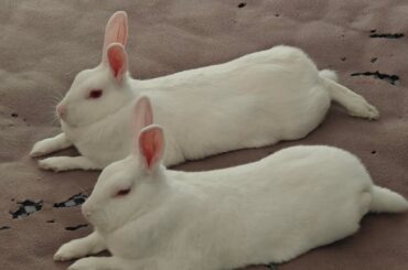 They are in sync again