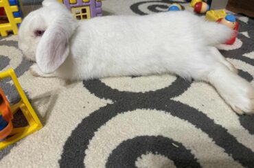 Help us name our REW