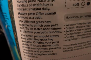 Alfalfa hay for 5 month old?
