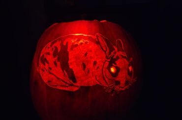 Pumpkin