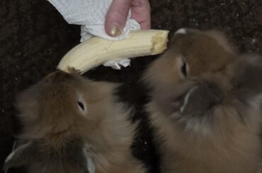 Sharing is caring