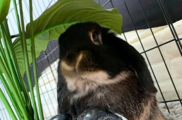 Biggest personality, Left the Biggest hole, goodbye Truffle