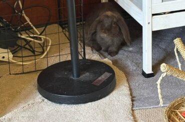 Devious bastard and his crime