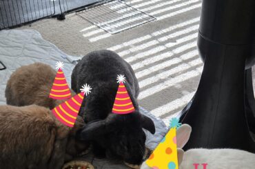 Happy Birthday Gatsby
