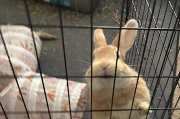 How He Greets Me