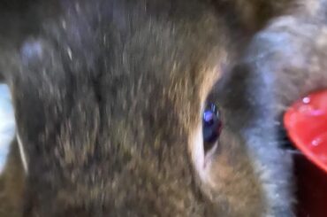 I’ll just put my phone down here to take a pictu—