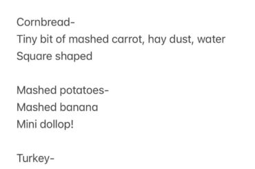 Thanksgiving food for Chai