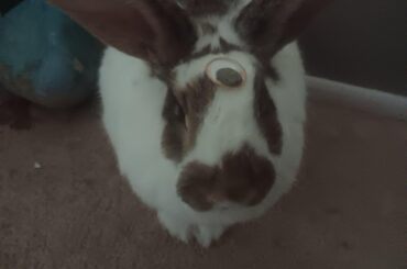 He has unlocked his third eye