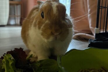 my lovely boy turned 5!
