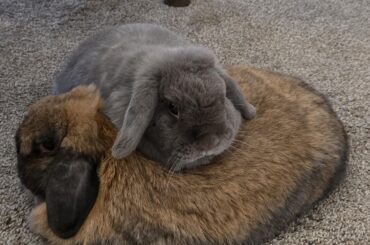 Does this mean they're good friends? Lol