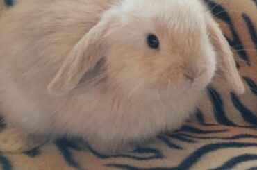 Name ideas :)