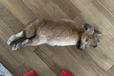 In moments like this, I just want to cuddle her - such a sweet bun