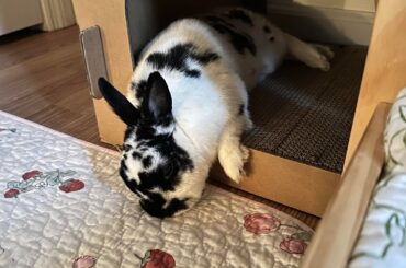 Neck support has left the chat