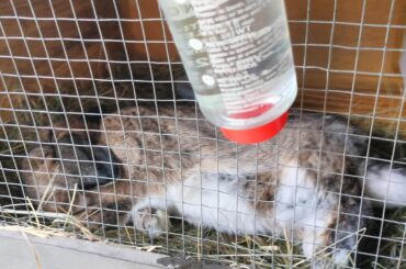 My Sleeping Bun