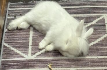 Dreaming of wreaking havoc and filling hearts with terror