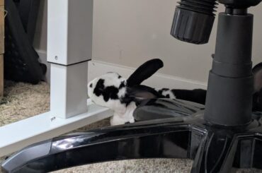 Not a care in the world