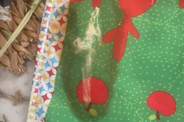 bladder sludge or just calcium deposit?
