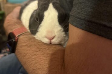 This is coconut 🐰 🥥