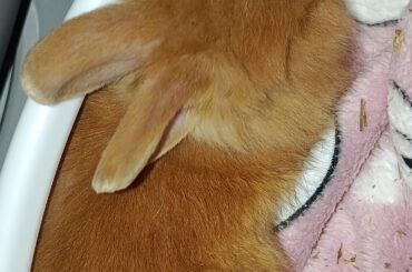 She grow so fast. She eat, drink and play a lot ✨🤍