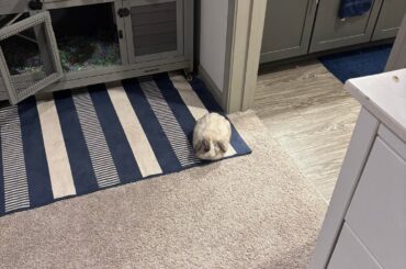 the best loaf he’s baked