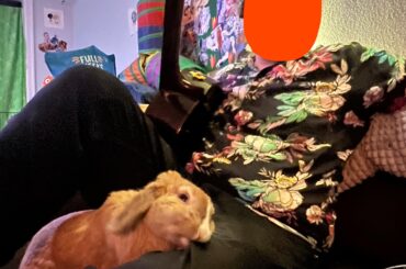 Artist caught in the act!
