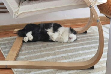 How is this a comfortable sleeping position?