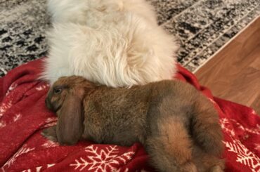 Cozy season has started:3