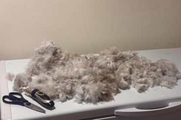 The big chop